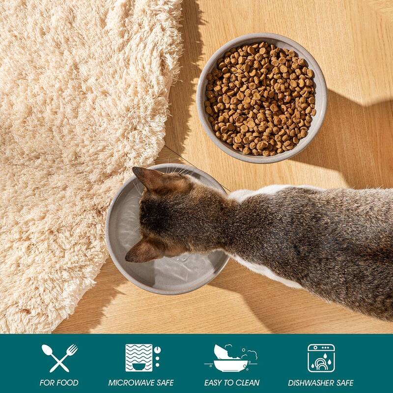 vancasso Elevated Stoneware 2-Piece Raised Dog & Cat Bowl Set