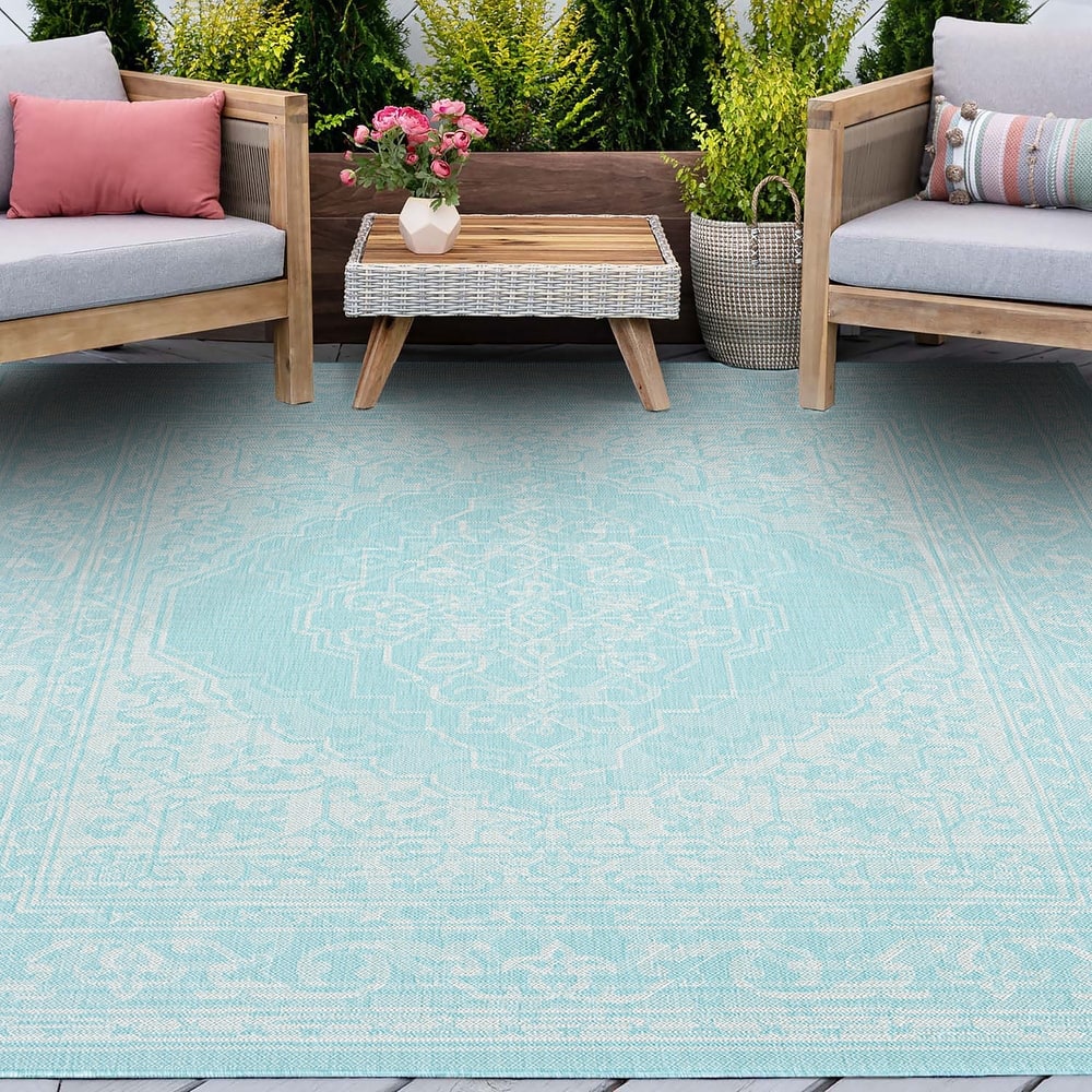 Exo Coastal Oriental Indoor/Outdoor Area Rug