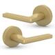 Option Satin Brass