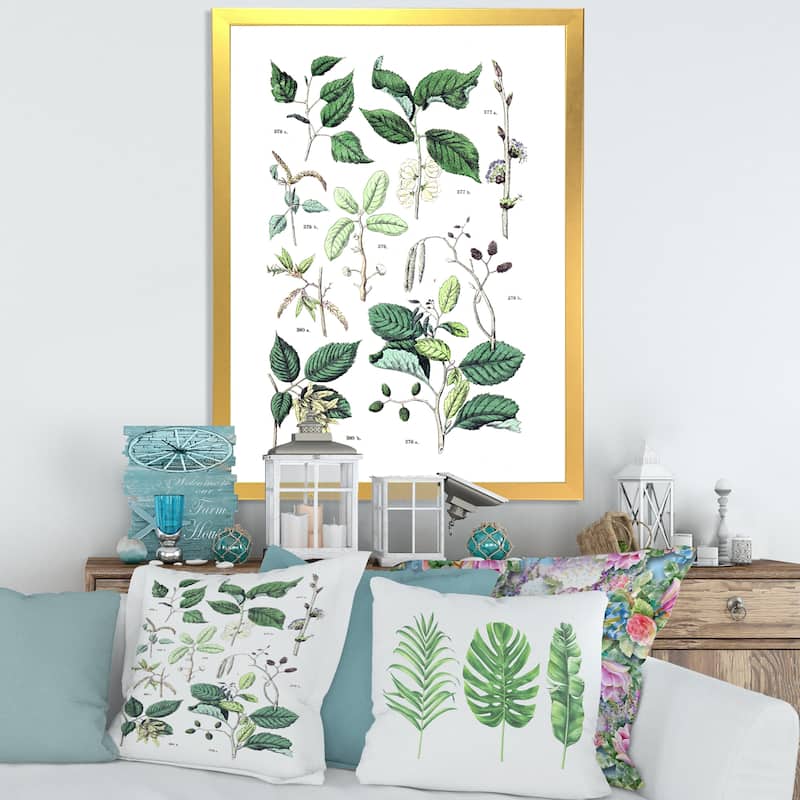 Designart "Vintage Botanicals VIII" Traditional Framed Art Print - 24 In. Wide x 32 In. High - Gold