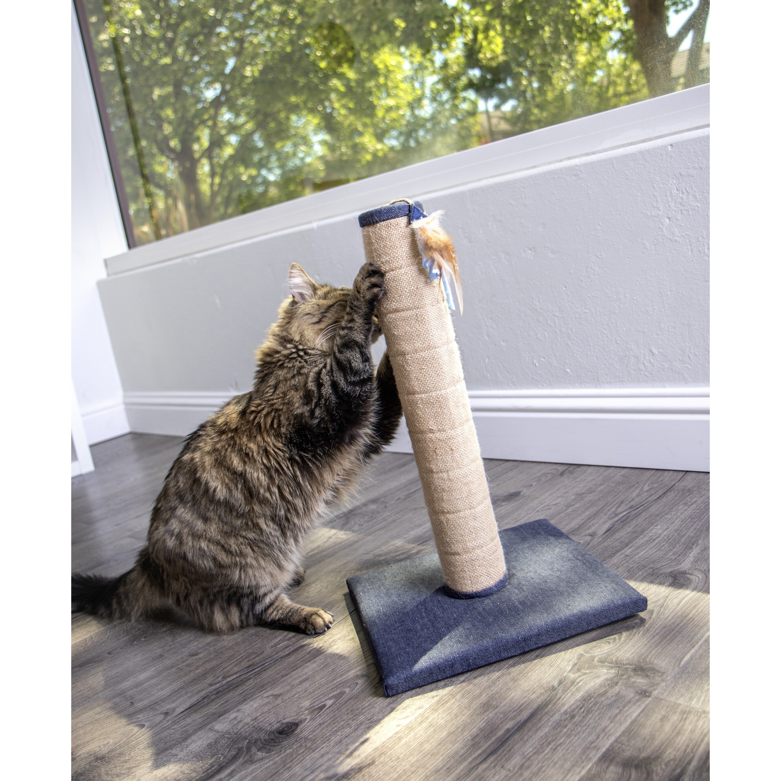 petlinks cat scratcher