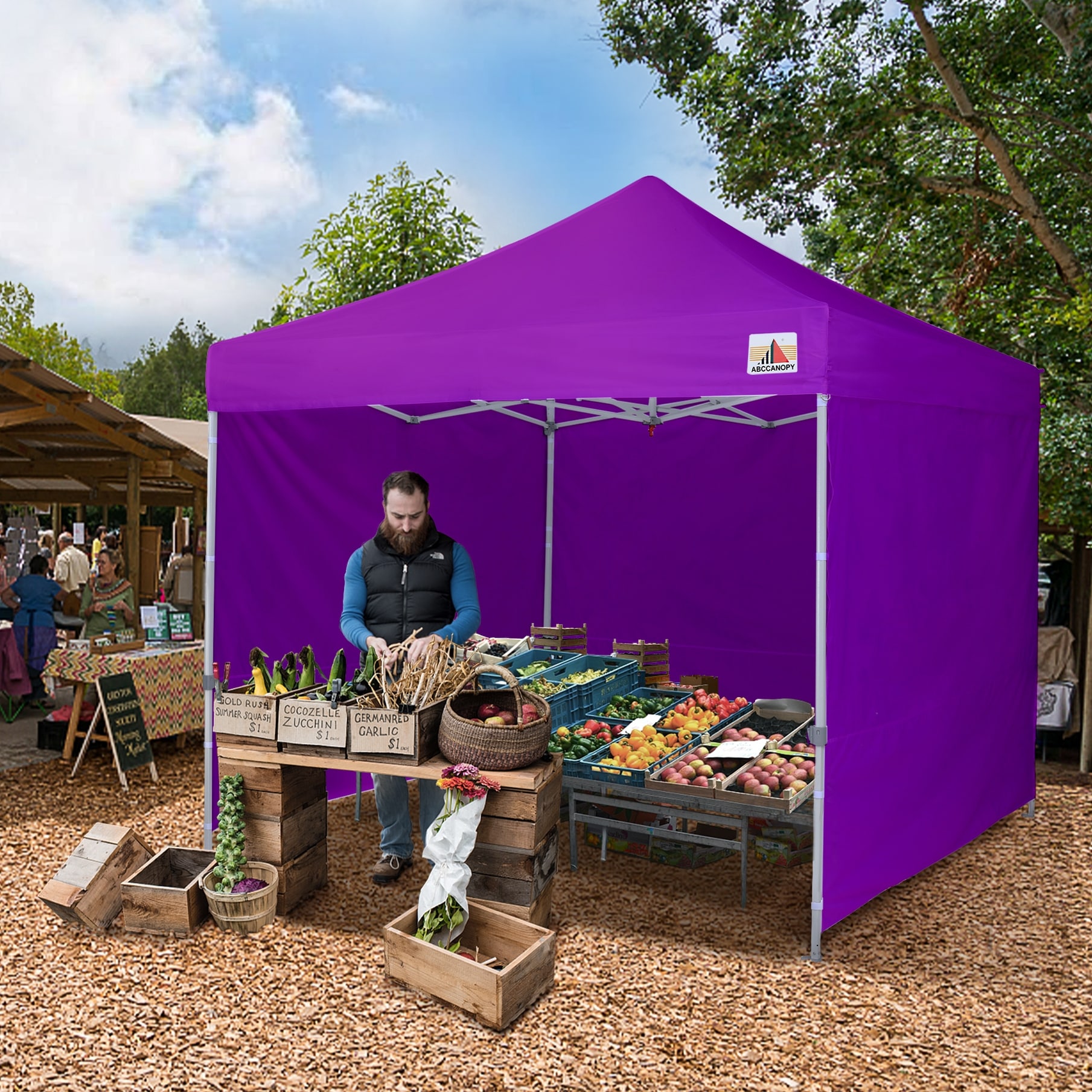 ABCCANOPY Commercial Instant Shade Metal Pop Up Canopy 10ftx10ft On Sale Bed Bath Beyond 34844676