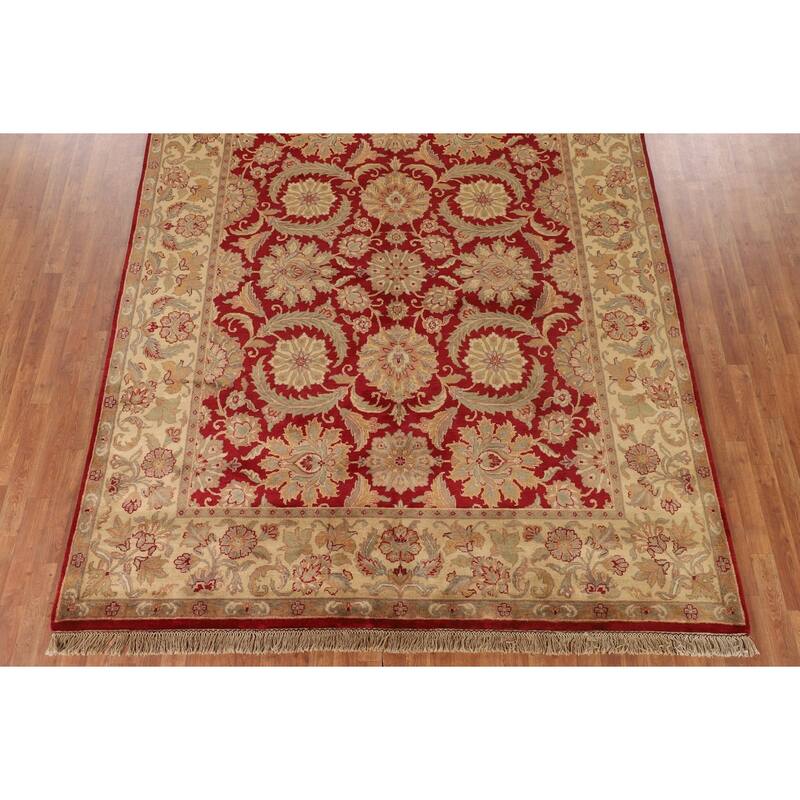 All-Over Floral Agra Oriental Area Rug Handmade Wool Carpet - 8'0" x 10'0"