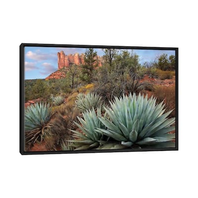 iCanvas "Agave And Coffee Pot Rock Near Sedona, Arizona" by Tim Fitzharris Framed Canvas Print