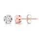 Option Rose