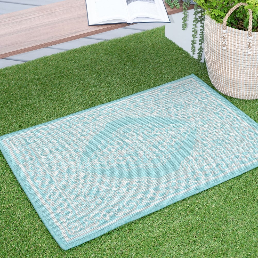 Exo Coastal Oriental Indoor/Outdoor Area Rug