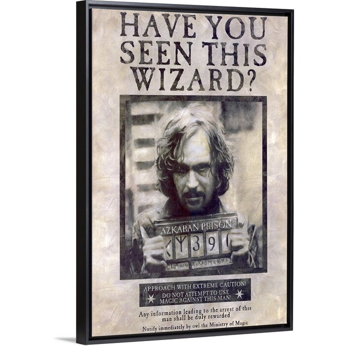 Shop Harry Potter And The Prisoner Of Azkaban 2004 Black Float Frame Canvas Art Overstock 25497504