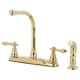 Option Polished Brass