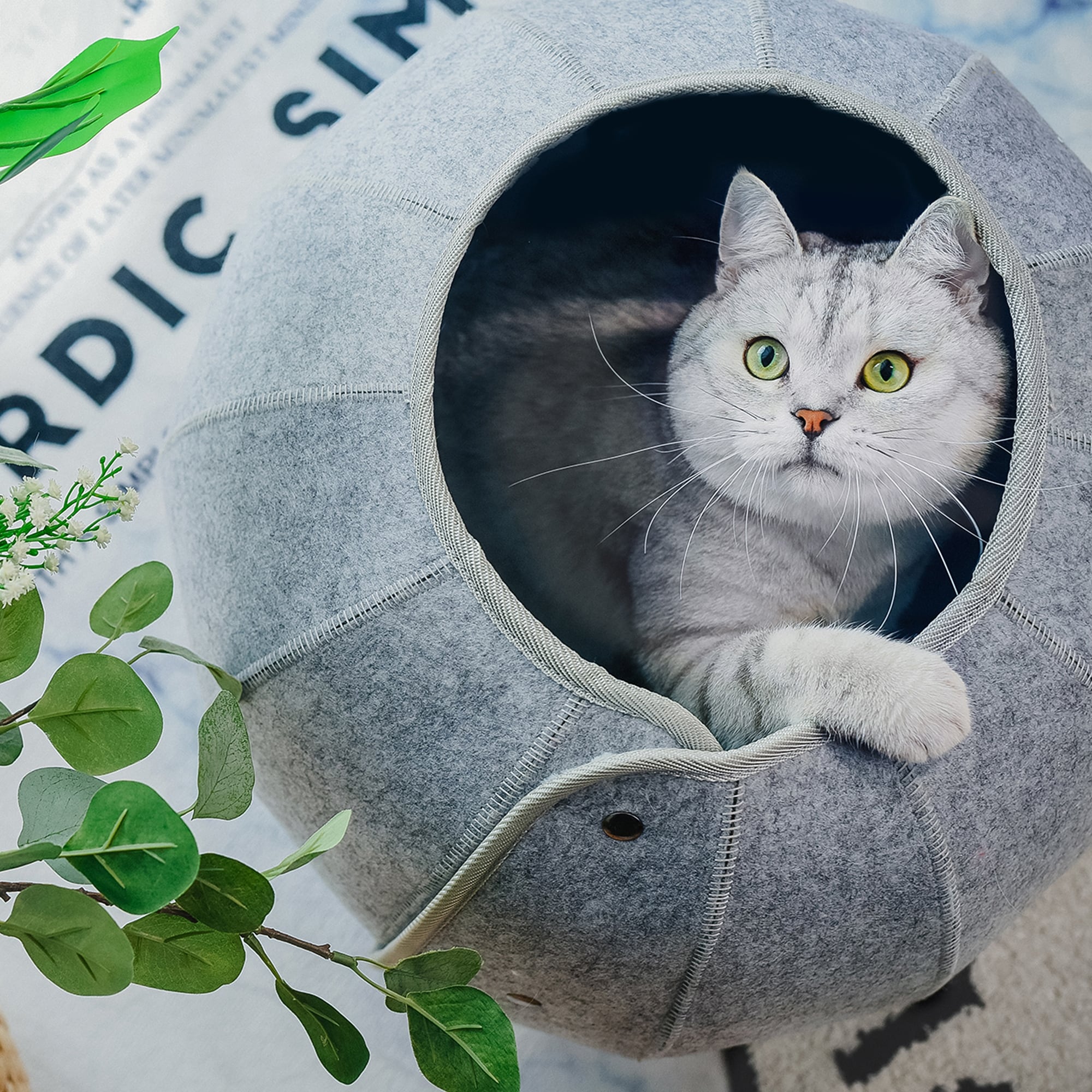 Bed bath and beyond cat bed 2025