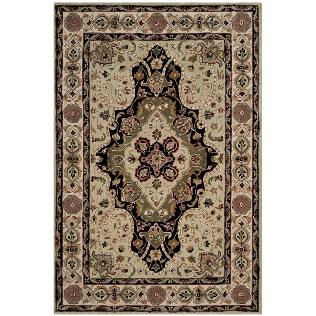 SAFAVIEH Handmade Total Performance Jahanara Oriental Rug