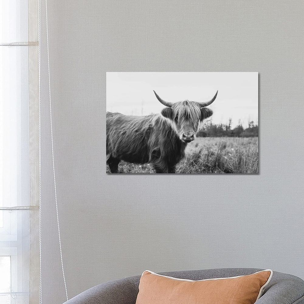 iCanvas "Furry Highland Cow Black And White" by Chelsea Victoria Canvas Print