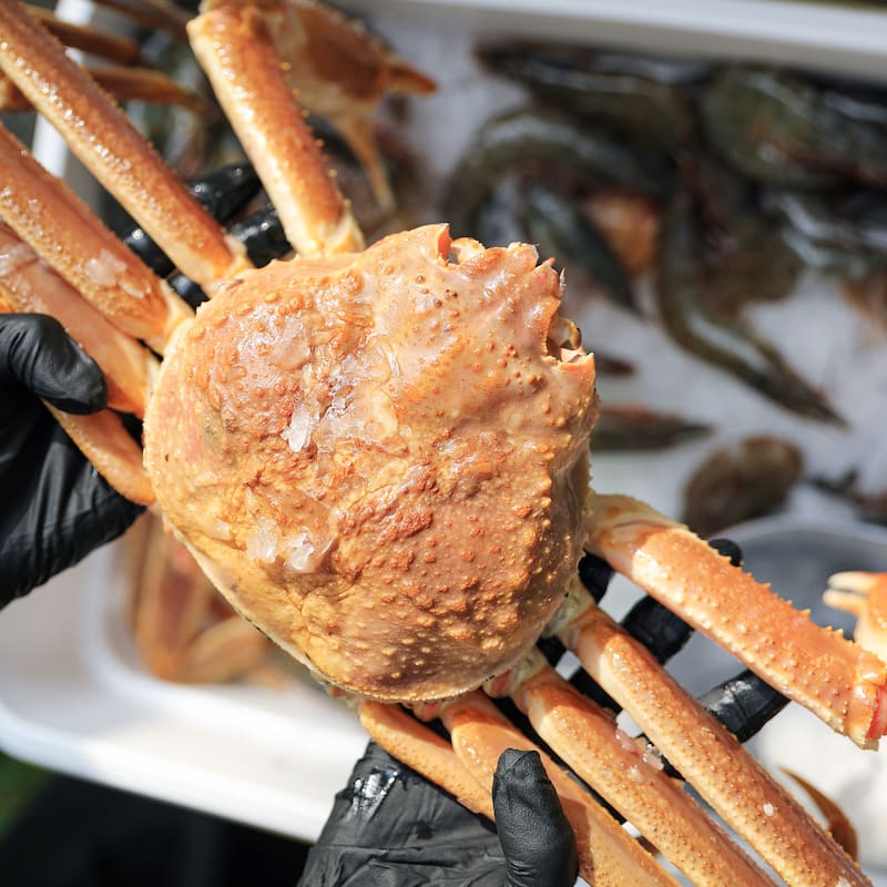 Creole Feast SBK0601,60 QT Seafood Boiling Kit with Strainer