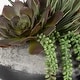 preview thumbnail 5 of 3, Uttermost Yuma Succulent Centerpiece - 15"W x 13"H x 14"D