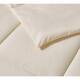 Double-stitched Microfiber Hypoallergenic Down Alternative Comforter