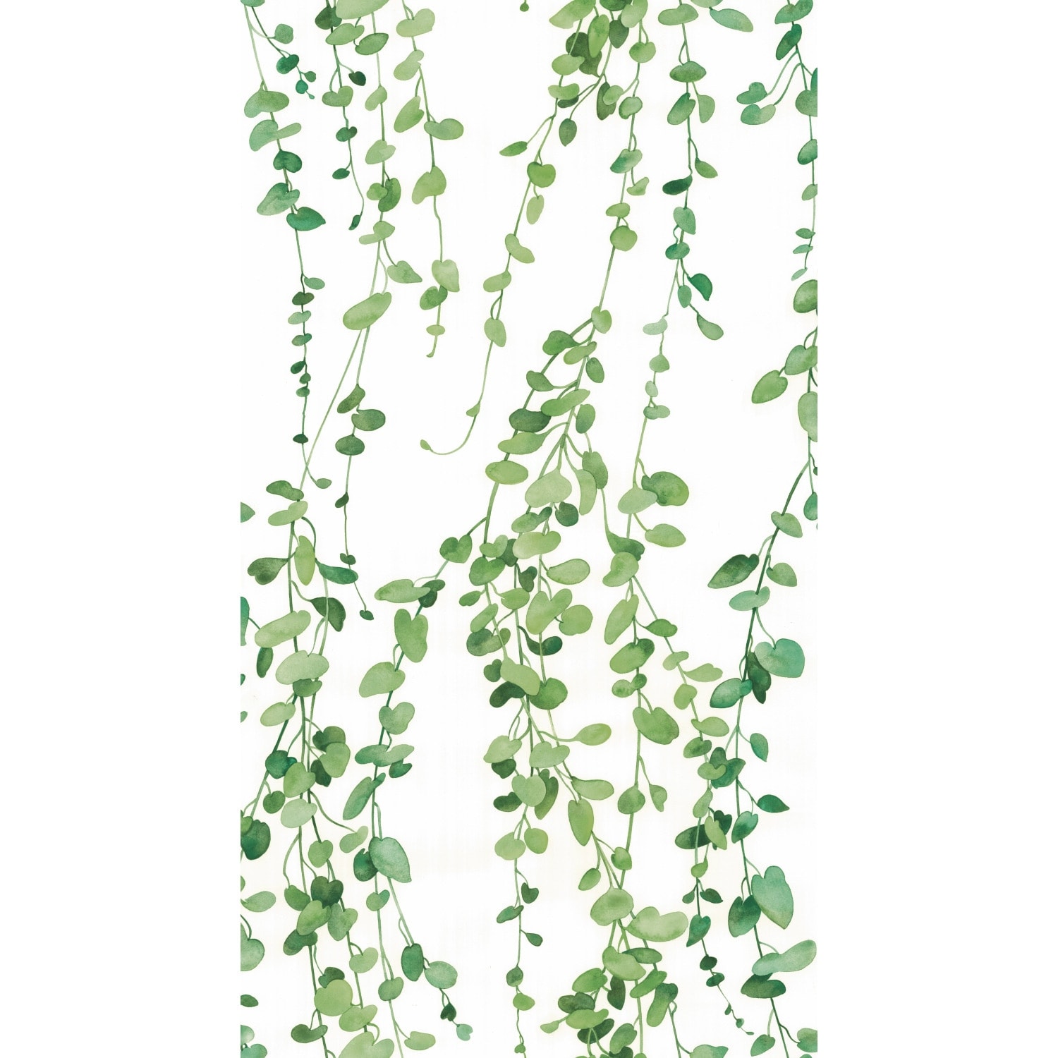 RoomMates White & Green Hanging Watercolor Vines Peel and Stick Wallpaper