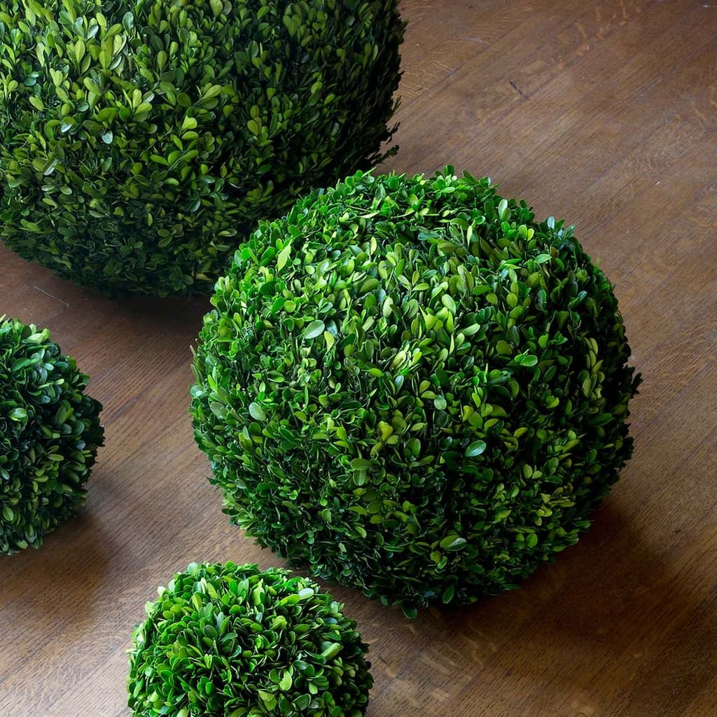 16 Inch Green Preserved Boxwood Ball for Home and Garden Decoration Indoor and Covered Outdoor - 16"L x 16"W x 16"H