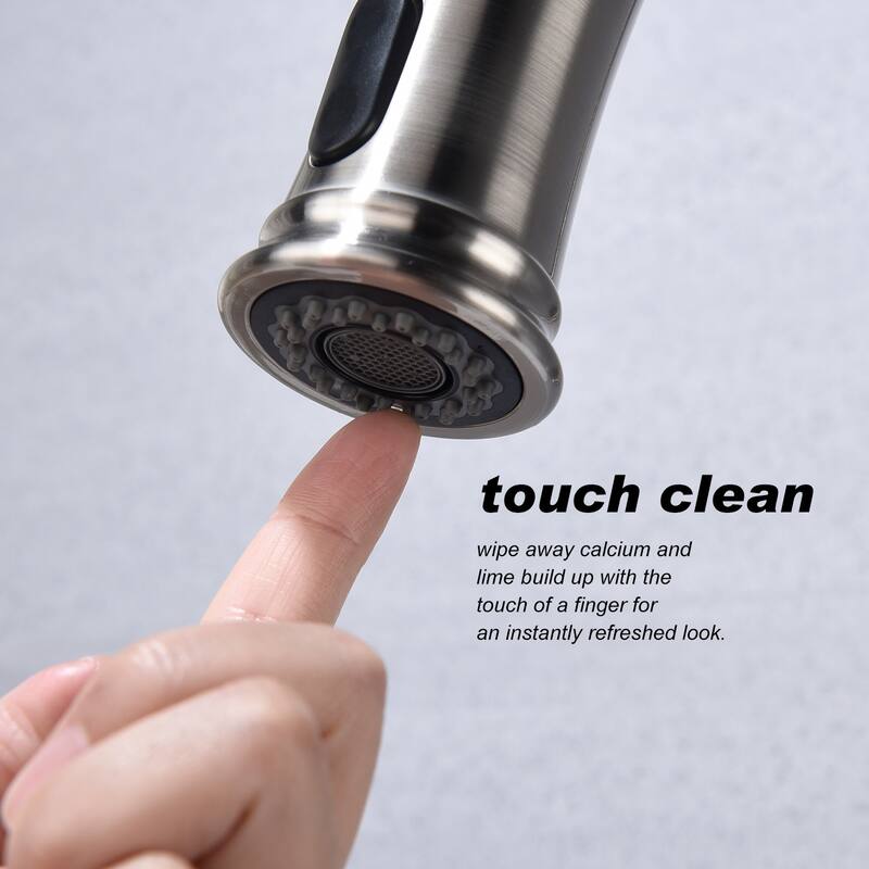 Single Handle Pull Down Kitchen Faucet with Dual Function Sprayhead
