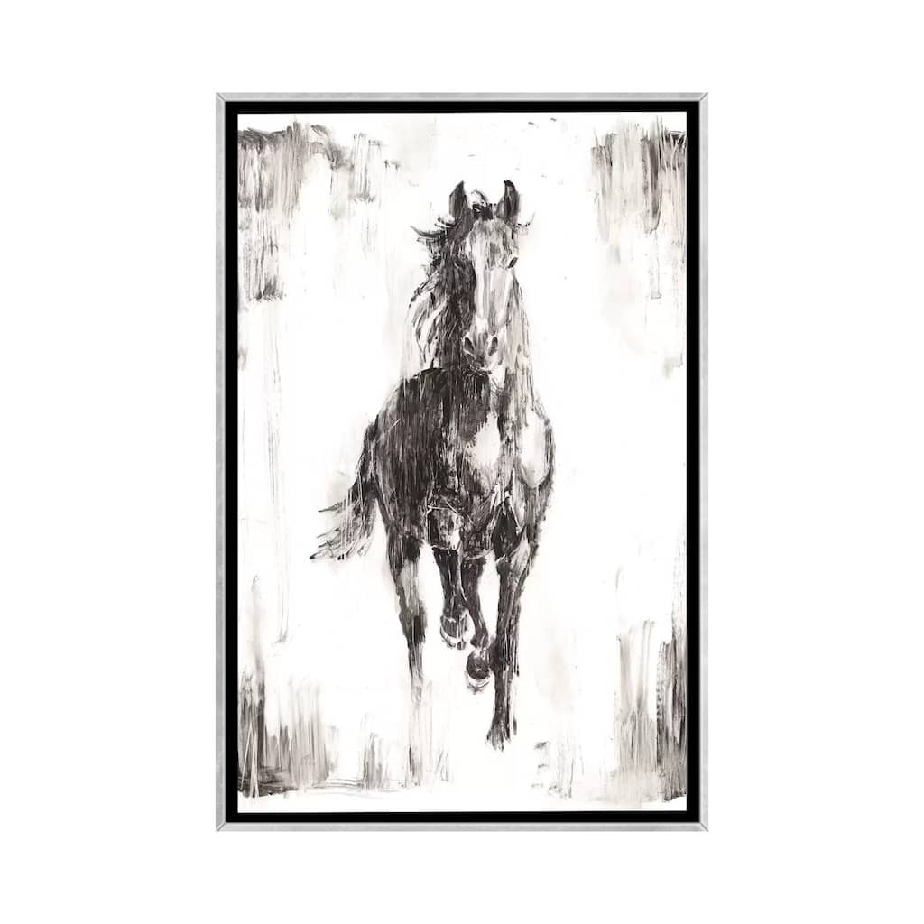 iCanvas "Rustic Black Stallion I" by Ethan Harper Framed