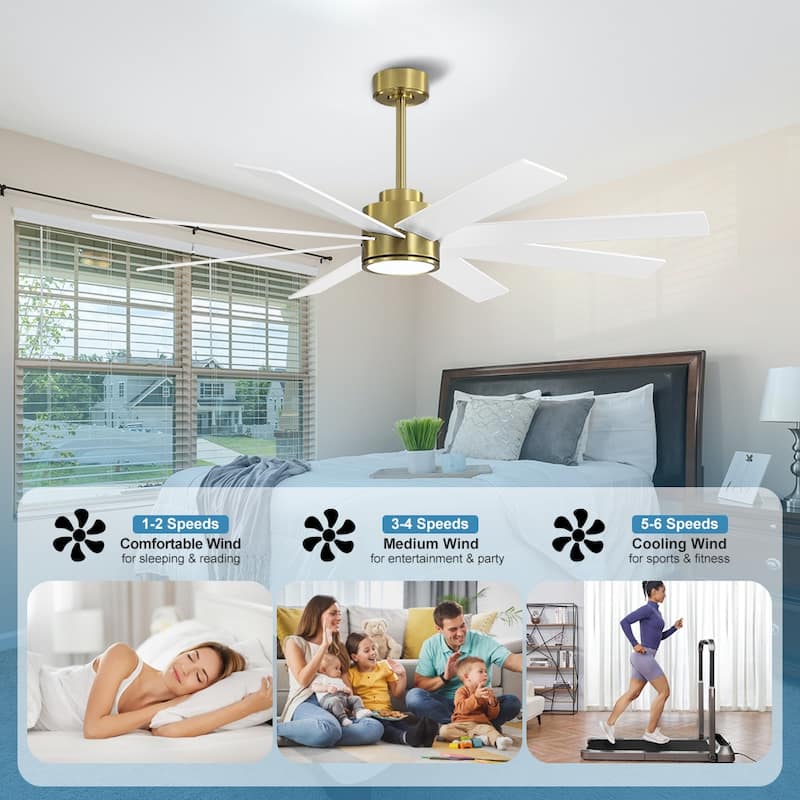 MLiAN 60 in. 8-Plywood Blades Indoor LED Ceiling Fan With Remote...