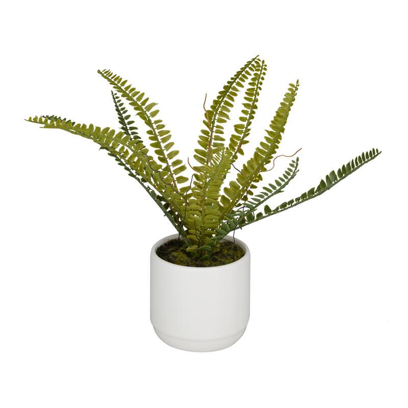 Faux Foliage Fern Artificial Plant with Realistic Leaves and White Ceramic Pot - Green - Roche River Decor - 10"W x 15"L x 12"H