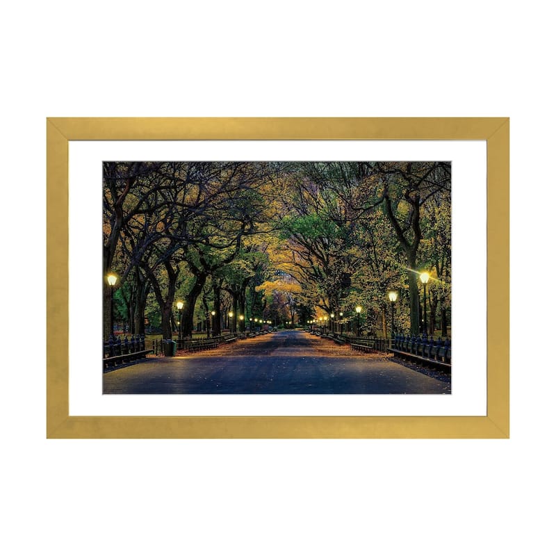 iCanvas "Central Park Magic" by David Gardiner - Gold - 16x24x1