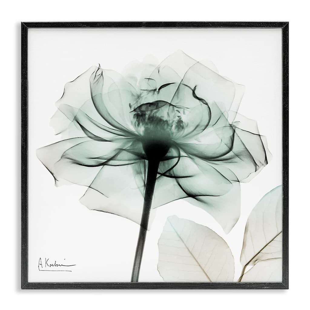 Stupell Transparent Flower Blossom Framed Giclee Art Design By Albert Koetsier