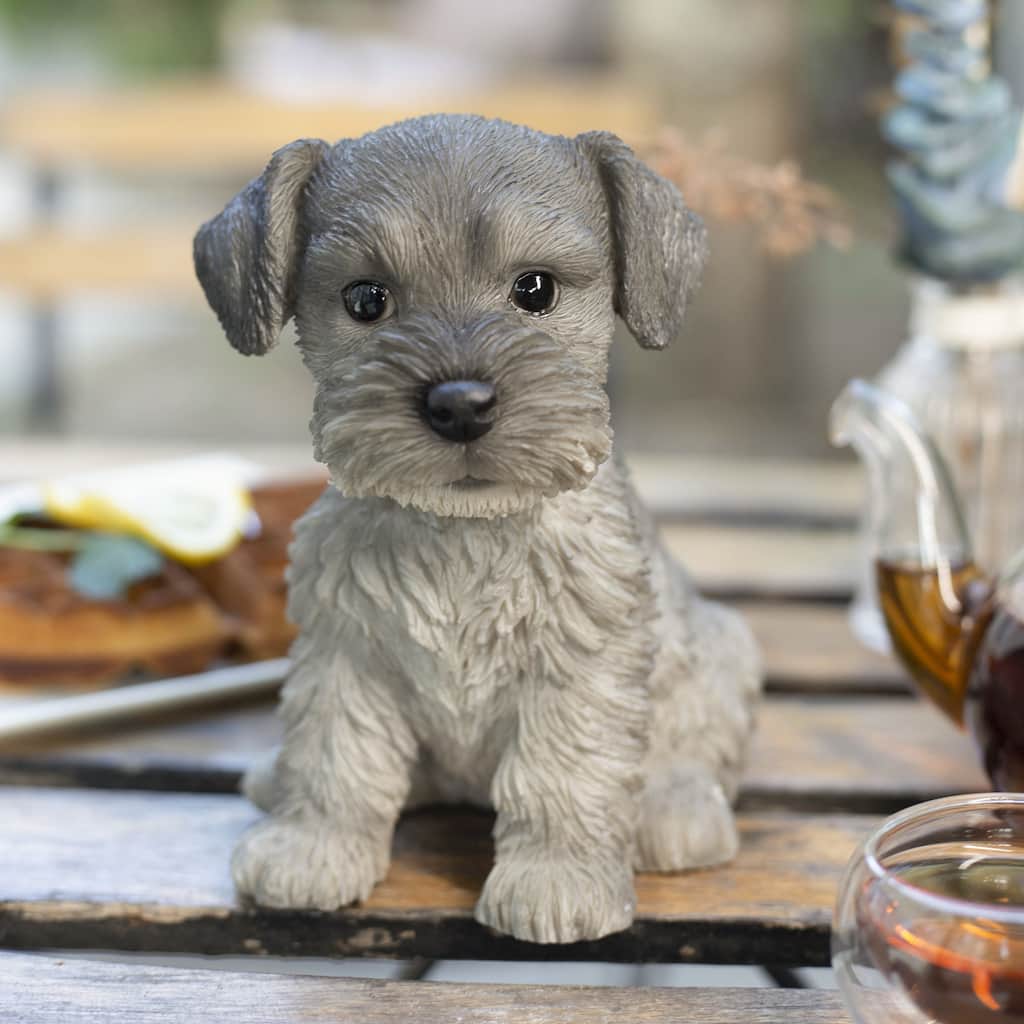 SoReal Grey Schnauzer Decorative Puppy Figurine for Home & Garden Décor, Handpainted Polyresin Dog Statue