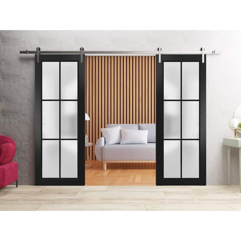 Sturdy Double Barn Door 36 x 80 Planum 2122 Matte Black 13FT