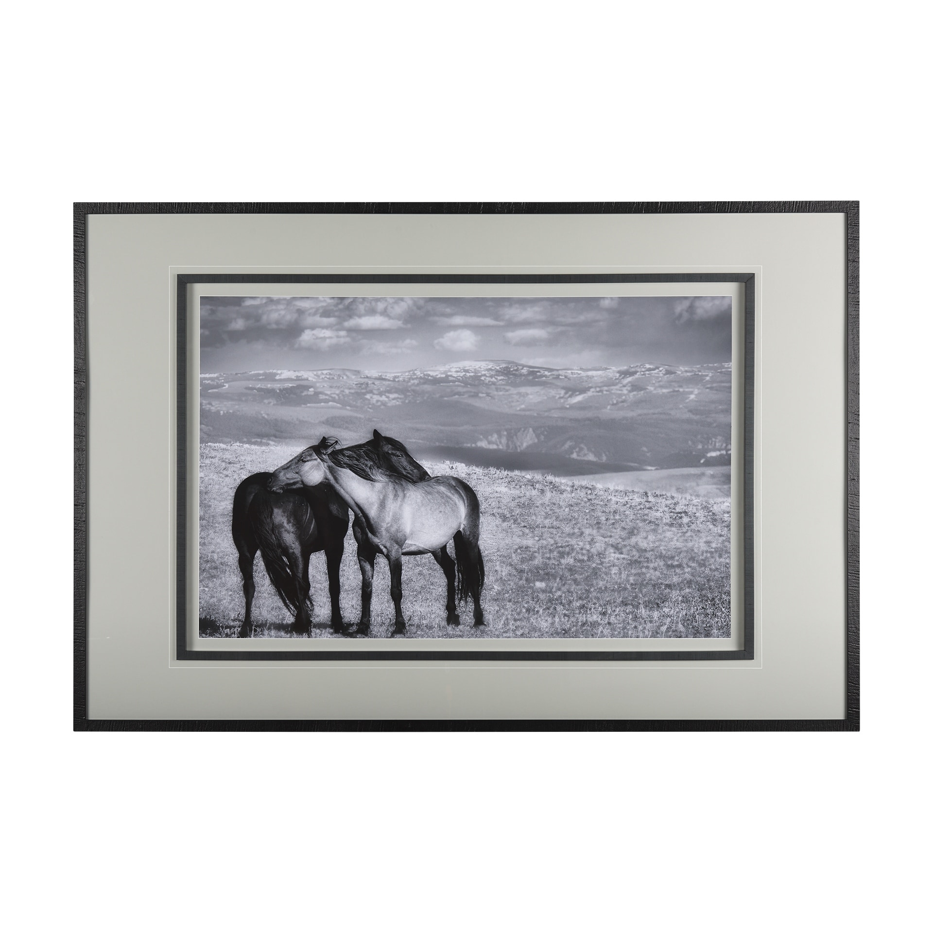 Babies on Board by Mercana Studio a Framed Photo Art Print Matted under Glass