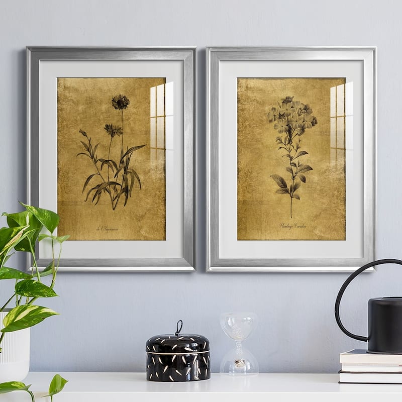Gold Sketch Botanical I Premium Framed Print - Ready to Hang