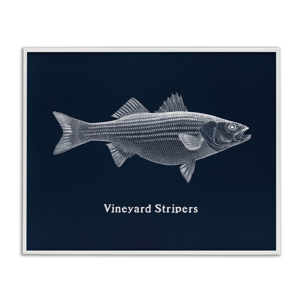 Stupell Vineyard Stripers Fish Framed Giclee Art Design By Phillipa Katz
