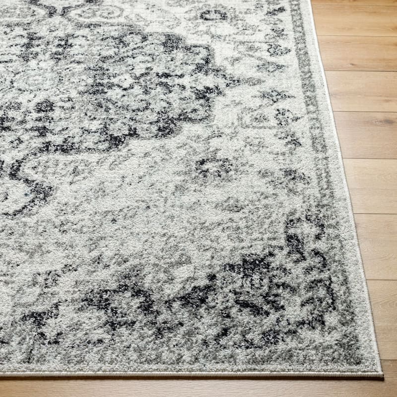 Livabliss Harput Updated Traditional Medallion Area Rug