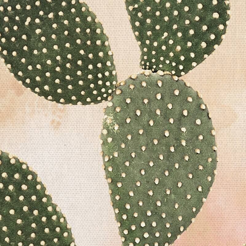 Desert Wash Coral I by Belle Maison Canvas Art Print
