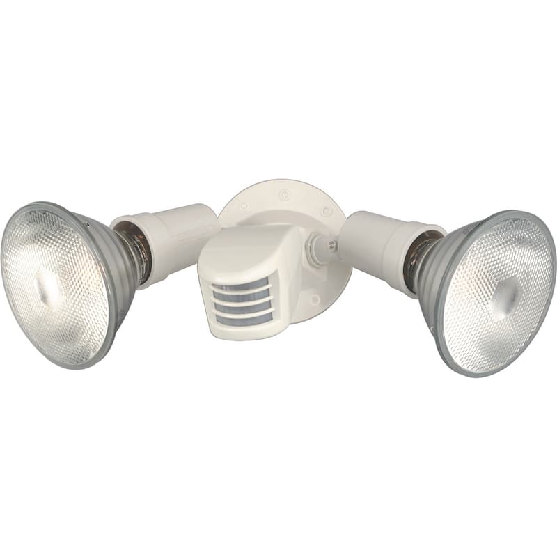 2-Light PAR38 Floodlight