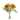 Fall Mum Floral Bundle (Set of 2)