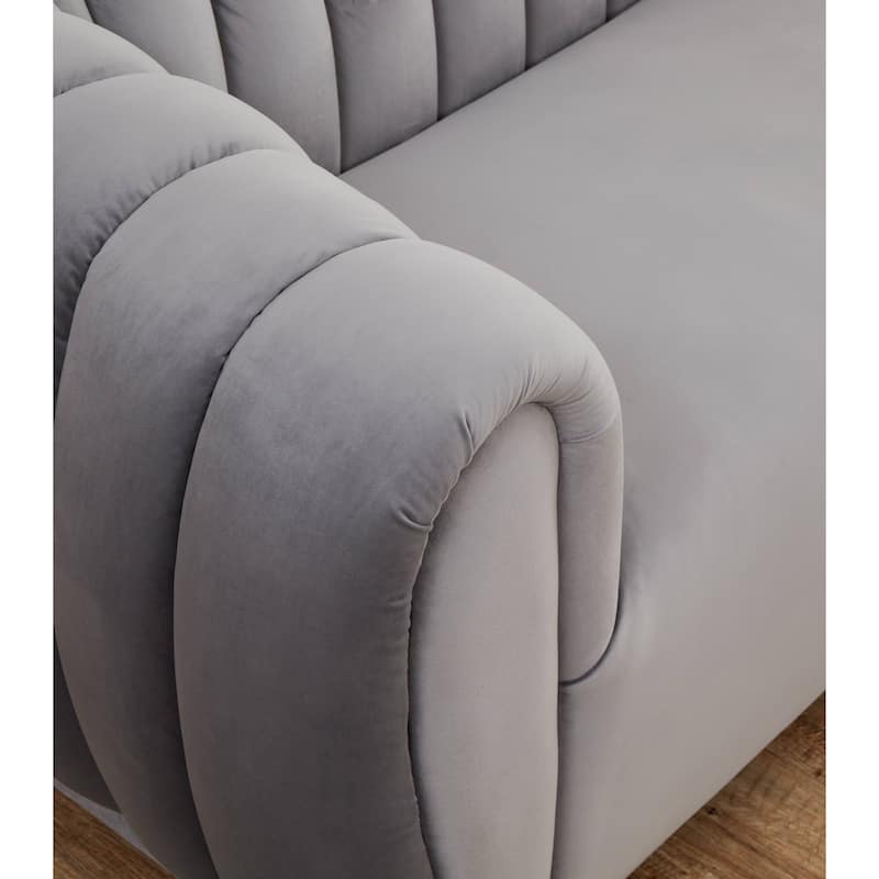 Kayley Luxury Velvet sofa love seat Standard Living Room Set