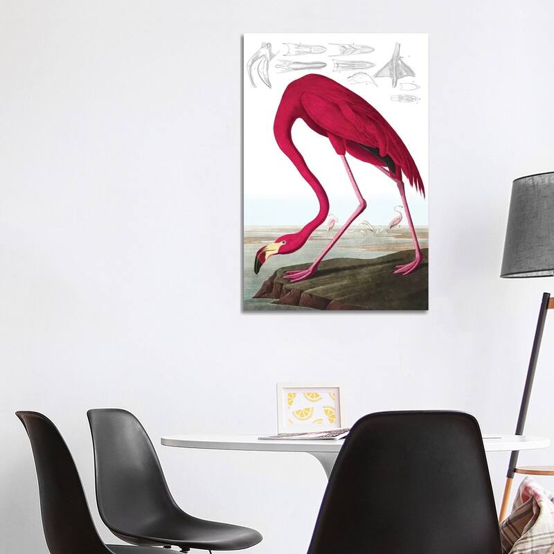 iCanvas "American Flamingo (Illustration From The Birds Of America)" by John James Audubon Canvas Print - 40x26x1.5