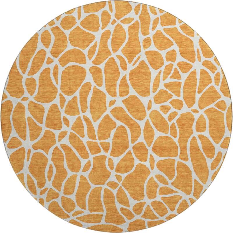 Premium Washable Super Soft Contemporary Ellie Mayfield Rug