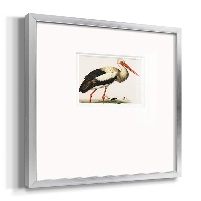Odd CranePremium Framed Print