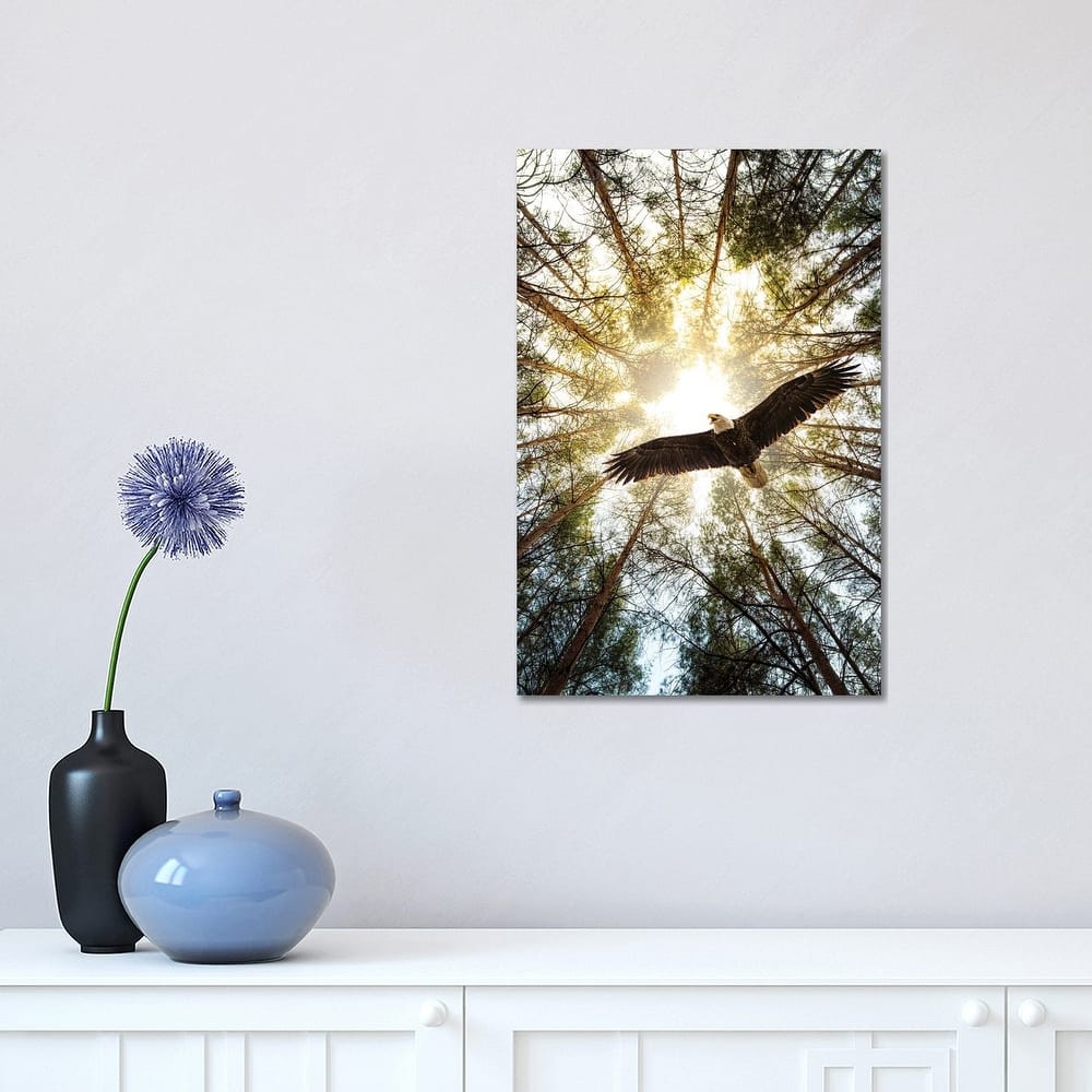 iCanvas "Master Of Heaven Bold Eagle" by Nik Rave Canvas Print