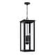 preview thumbnail 1 of 8, 11" W x 28.5" H 4-Light Outdoor Rectangular Hanging Lantern with Clear Glass - 11"W x 28.5"H Black