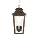 preview thumbnail 2 of 5, Hunter Spring Cove Outdoor 3 Light 17 Inch Pendant - Traditional - Entryways, Porches, or Outdoor Gathering Spaces