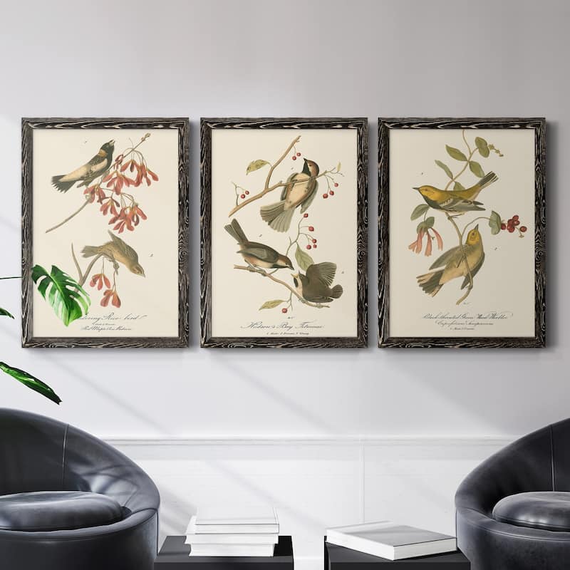 Wandering Rice Bird-Premium Framed Canvas - Ready to Hang - Multi-Color