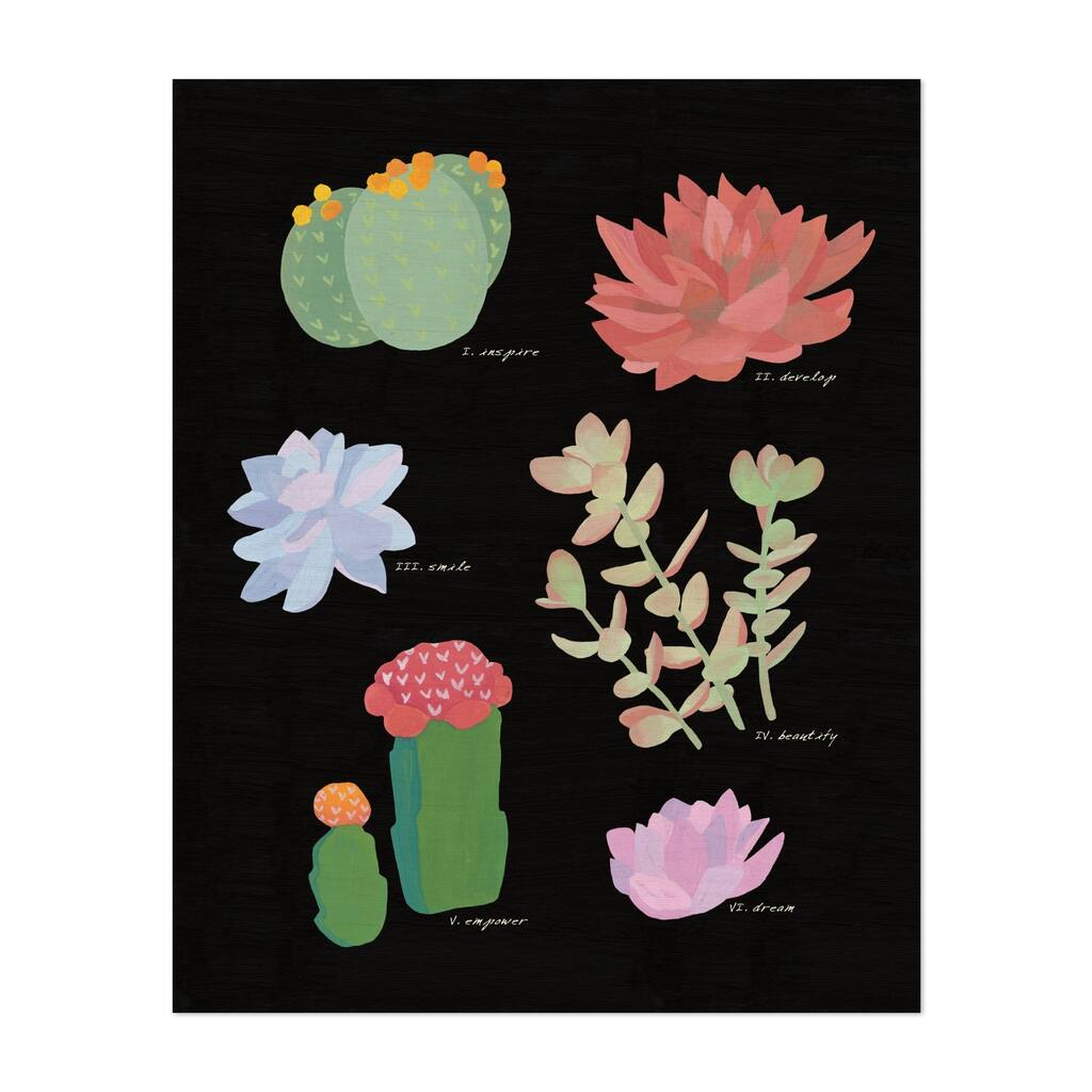 Succulent Chart V Illustrations Cactus Nature Art Print/Poster