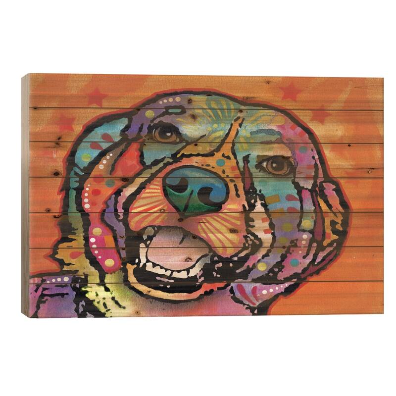 Galle Print On Wood by Dean Russo - Multi-Color - 26x40x1.5