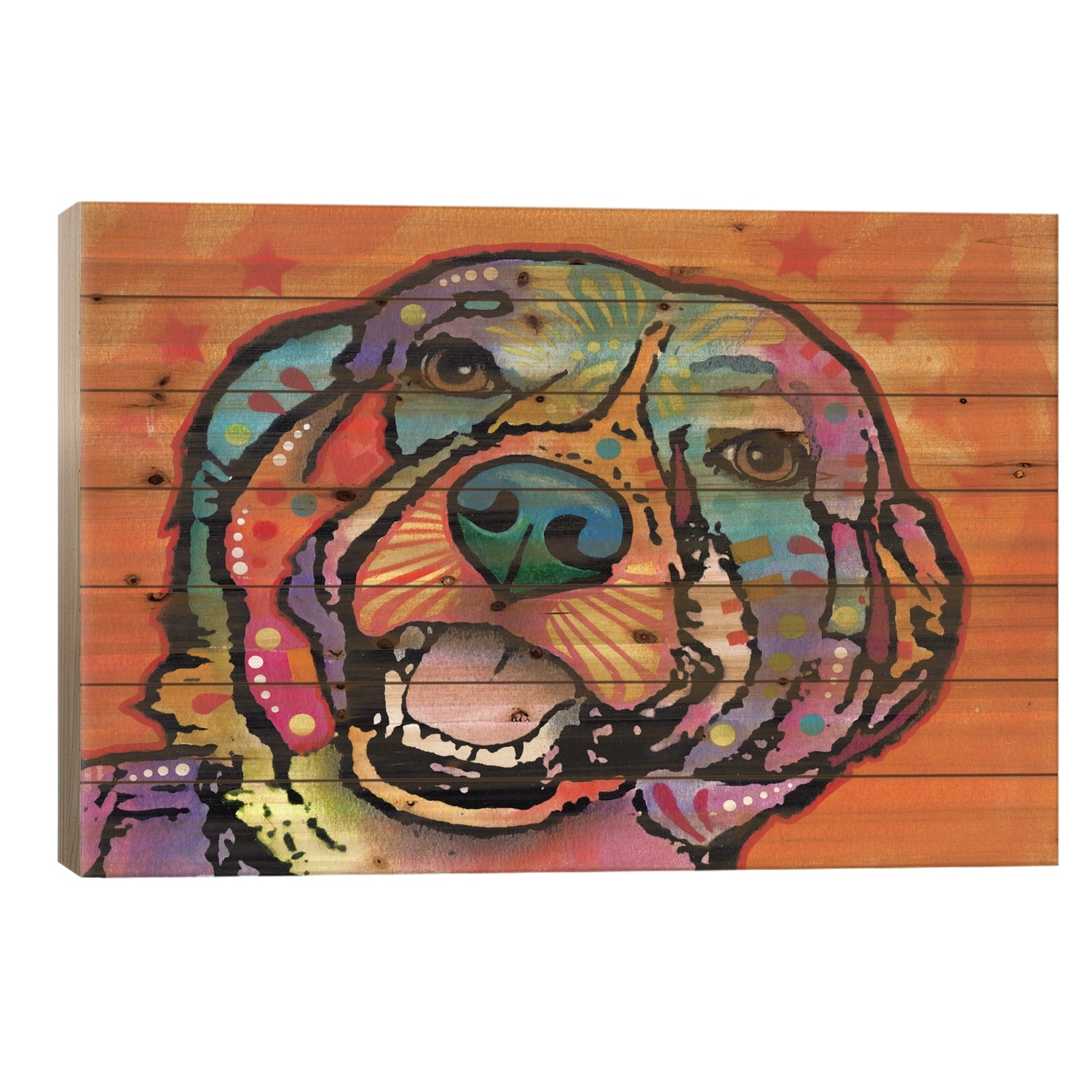 Galle Print On Wood by Dean Russo - Multi-Color
