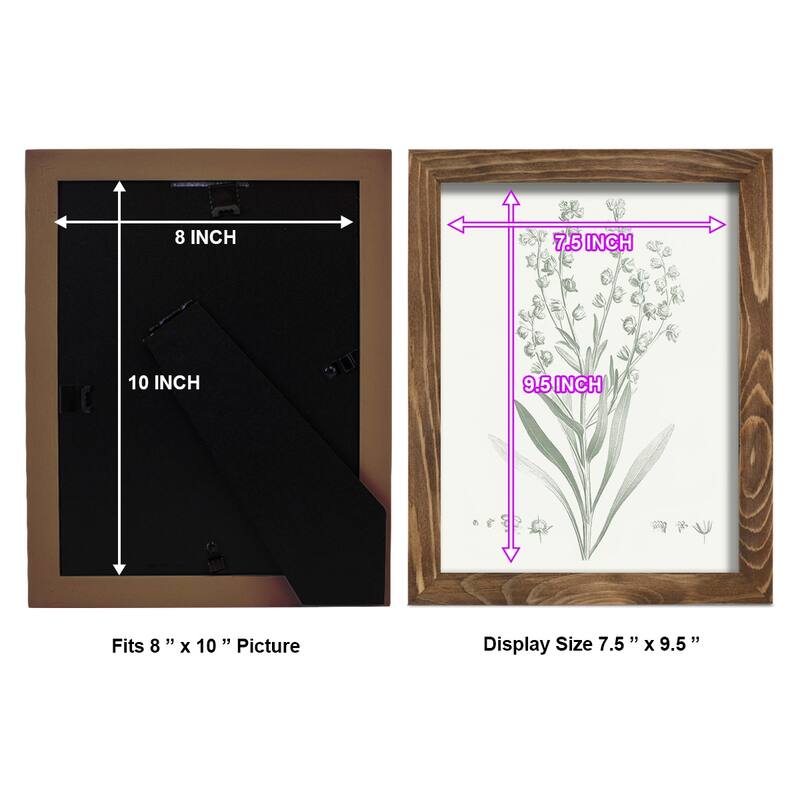 Botanical Study in Sage I -Framed Print w/glass-Cherry Red