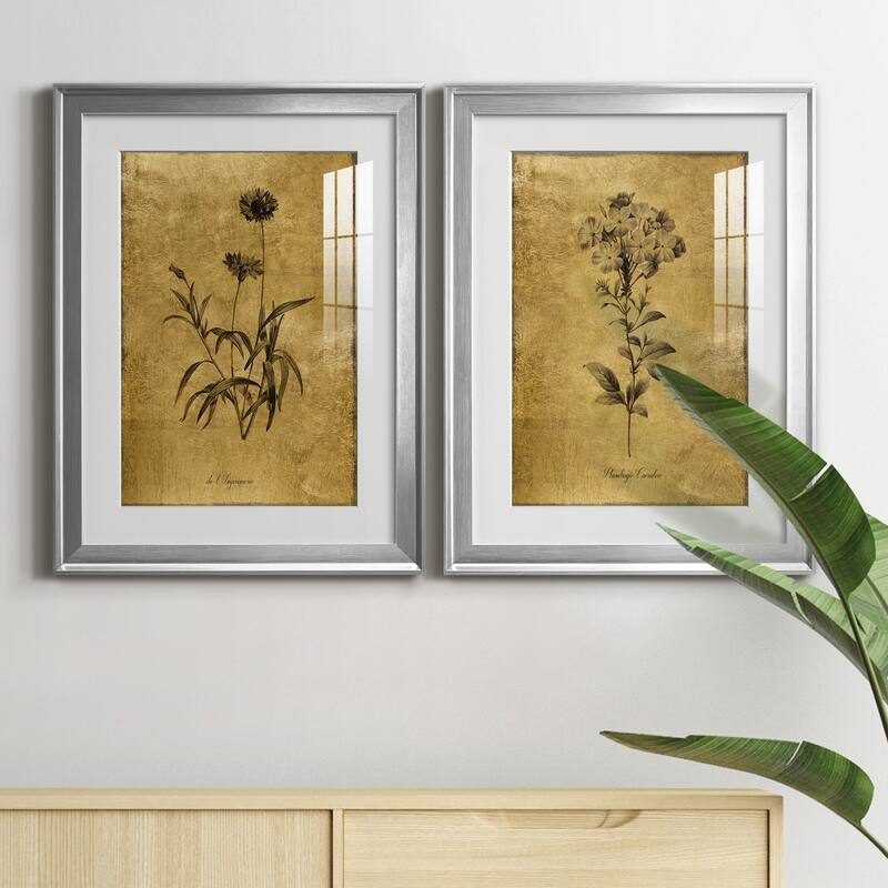 Gold Sketch Botanical I Premium Framed Print - Ready to Hang