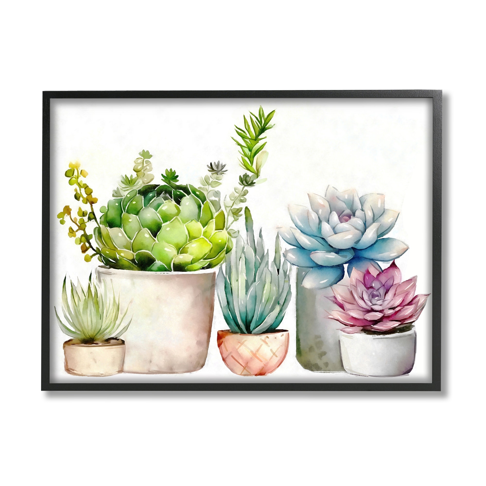 Stupell Succulent Plants Floral Nature Framed Giclee Art by Ziwei Li