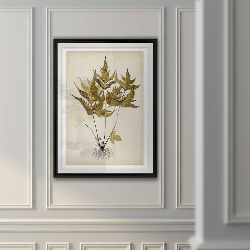 Fern Botanical II -Custom Framed Print